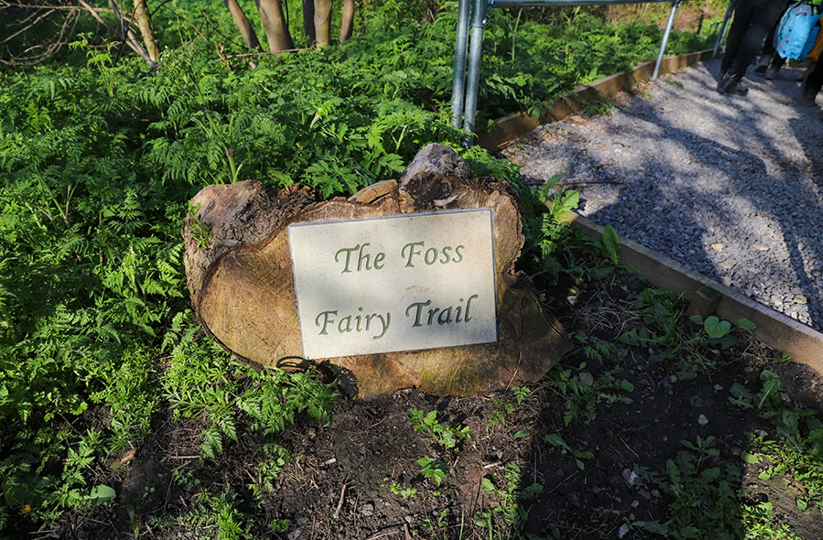 Foss Fairy Trail Volunteering HW2